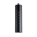 FX Luminaire VEZDCPSFB VE ZDC RGBW Down Light | Perforated Sleeve | Flat Black (VEZDCPSFB)
