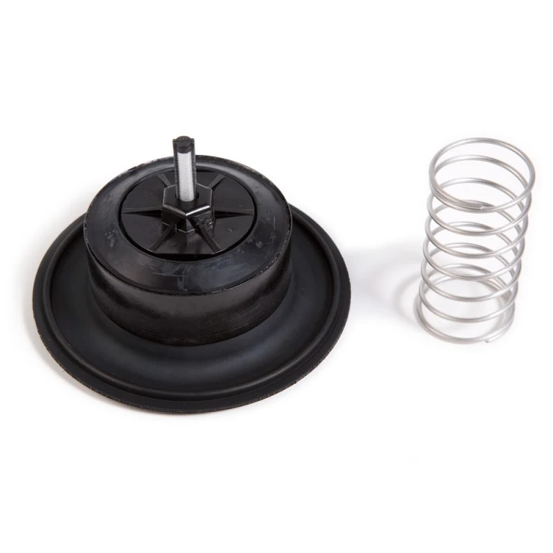 Rain Bird Diaphragm Assembly for 200PGA Valve 2 in. (209005)