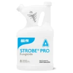 Control Solutions Qualipro Strobe Pro - 1 gal (83014061)