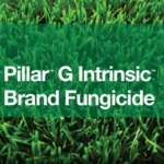 BASF Pillar G Intrinsic Fungicide – 30 lb.Bag (59012784)