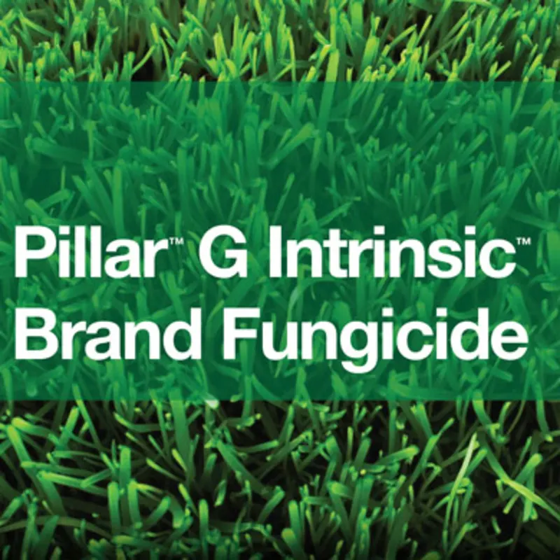 BASF Pillar G Intrinsic Fungicide – 30 lb.Bag (59012784)