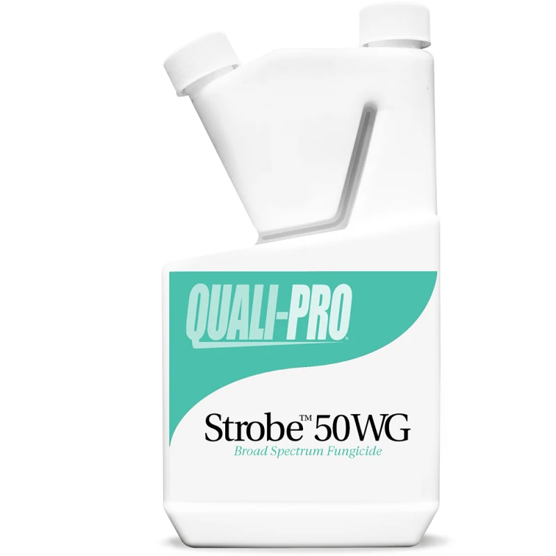 Control Solutions Strobe 50 WG Fungicide – 1 lb. Jug (83000002)