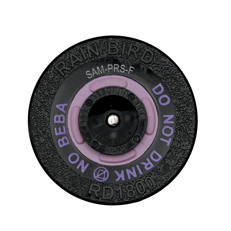 Rain Bird RD1800 Spray Head 6" w/ CheckValve, Pressure Regulated (30 psi), Flow-Shield, NonPotable (A37361NP)