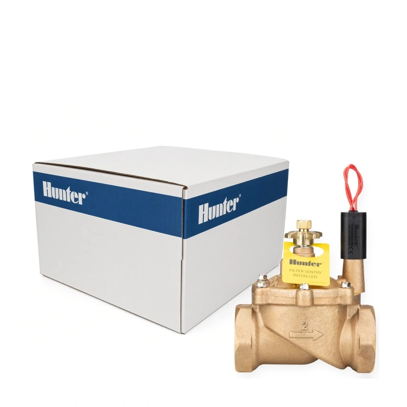 Hunter IBV-201G-FS 2 in. brass globe valve with flow control and factory Filter Sentry, Case of 2 (IBV201GFS-CASE)