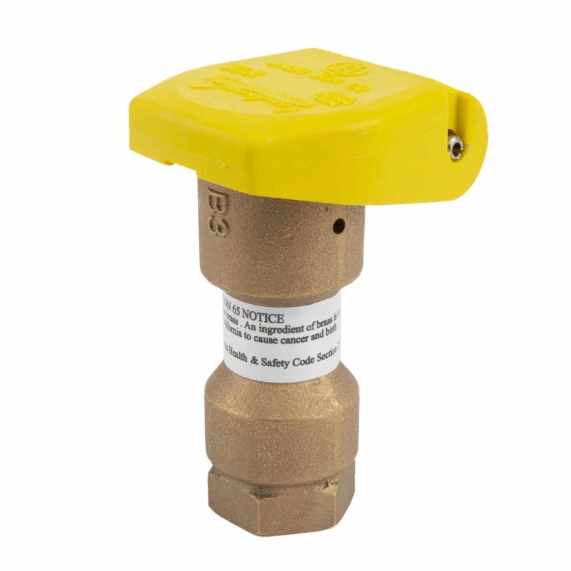 Landscape Products 1 in One-Piece Quick Coupling Valve (LP-5RC-10)